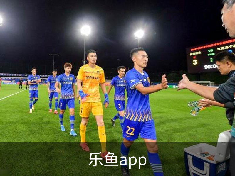 乐鱼app概况